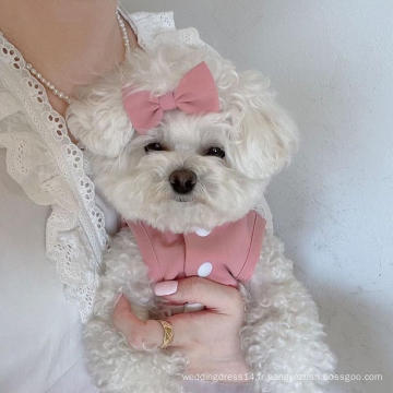 Modèle de robe de chien petite coutume